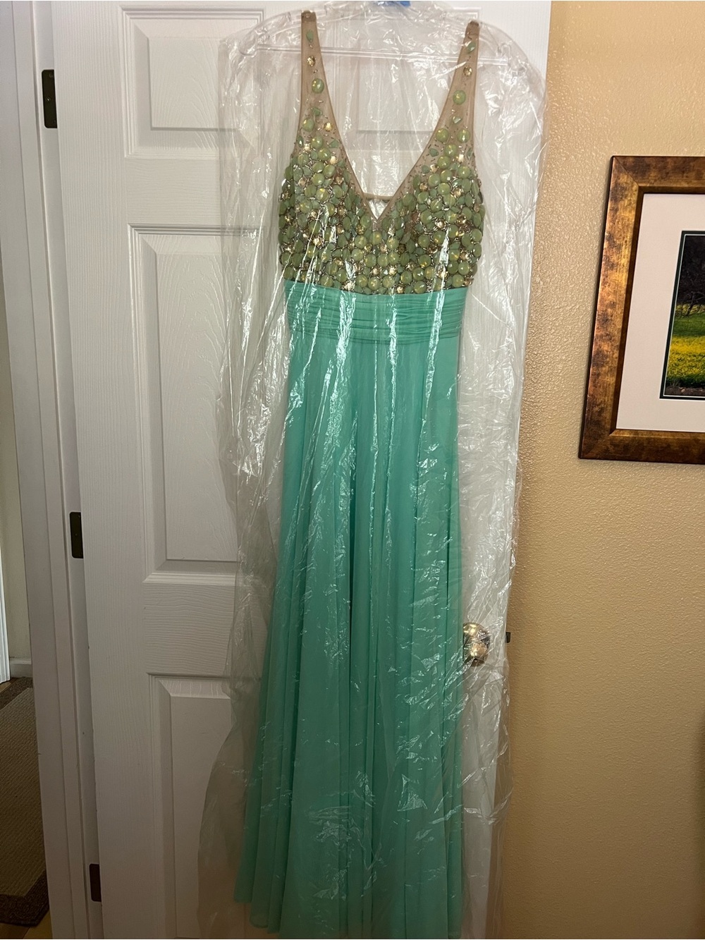 Alyce Paris Mint Green Chiffon Evening Dress with Sequined Bodice